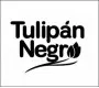 Tulipan Negro