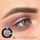Тіні для повік Picasso тон 05 Dusty Rose курний рожевий металік, 4810438022477