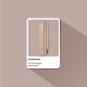 Олівець для брів POPPY HEAD Browsome, 01 Soft Taupe, 5903843265634
