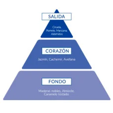 Косметичний набір для чоловіків Instituto Espanol POSEIDON GOLD OCEAN (туал.вода 100 мл + гель д/душу 100 мл + лосьйон п/гоління 100 мл)