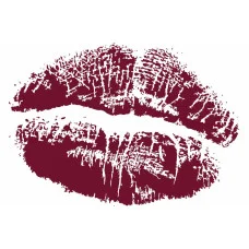 Помада для губ Vipera Magnetic Lipstick с ультрастойким бархатным финишем №05 salvo, 4 г